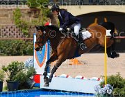 DE RISIO IRWIN CampITA2013- S5 0240 : Campionati Italiani 2013, Cattolica, DE RISIO DANIELA, E.H. IRWIN LIZZY, Horse Riviera Resort, foto di Stefano Secchi ©